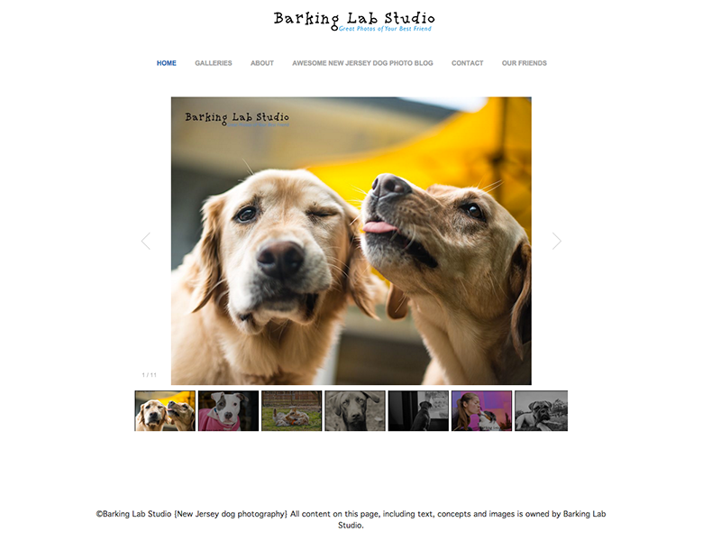 Barking Lab Studio screen shot